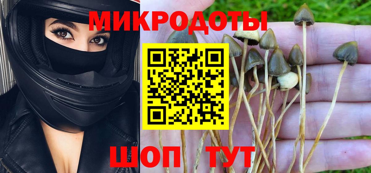 Камень-на-Оби  Псилоцибиновые грибы мицелий  Вход с VPN  Галлюциногенные грибы Magic Shrooms 