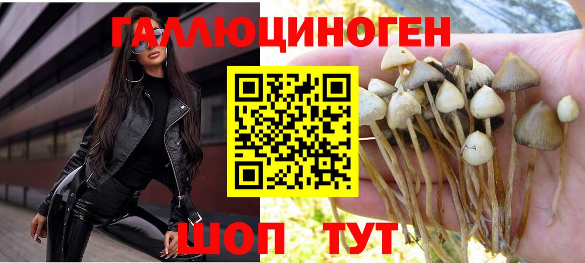 Псилоцибиновые грибы мухоморы Камень-на-Оби